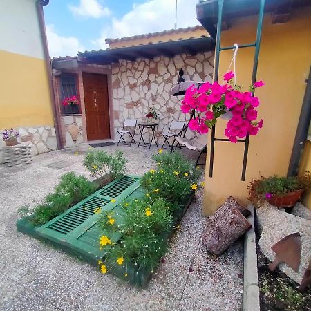 Civico Ventitre Apartman Mentana Kültér fotó